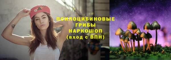 дурь Алексеевка