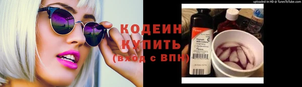 тгк Снежинск