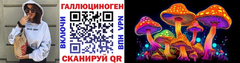 Галлюциногенные грибы Psilocybe Чехов